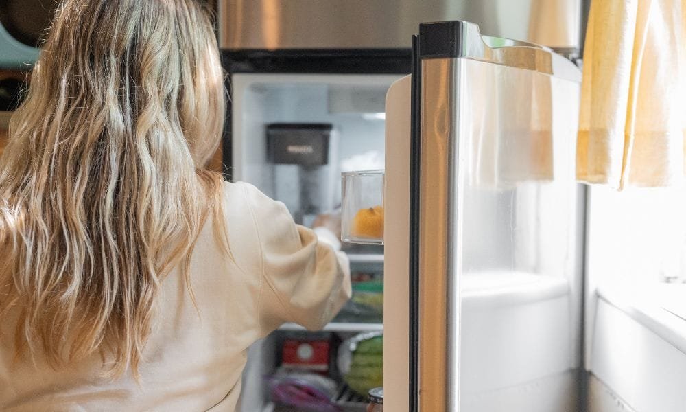 Smelly Fridge Fix