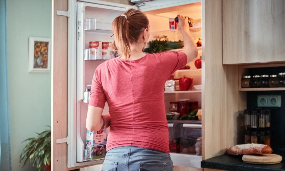 Smelly Fridge Fix